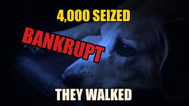 Inotiv's Beagle Scandal: Who Got the $271 Million thumbnail
